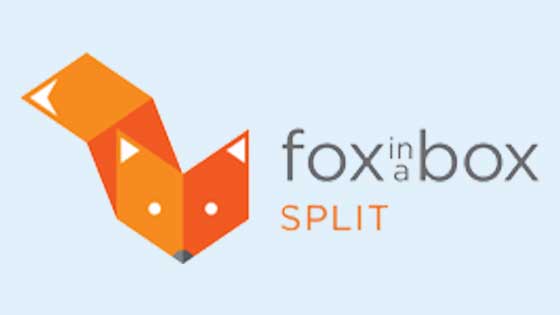 Fox in a box roomescape